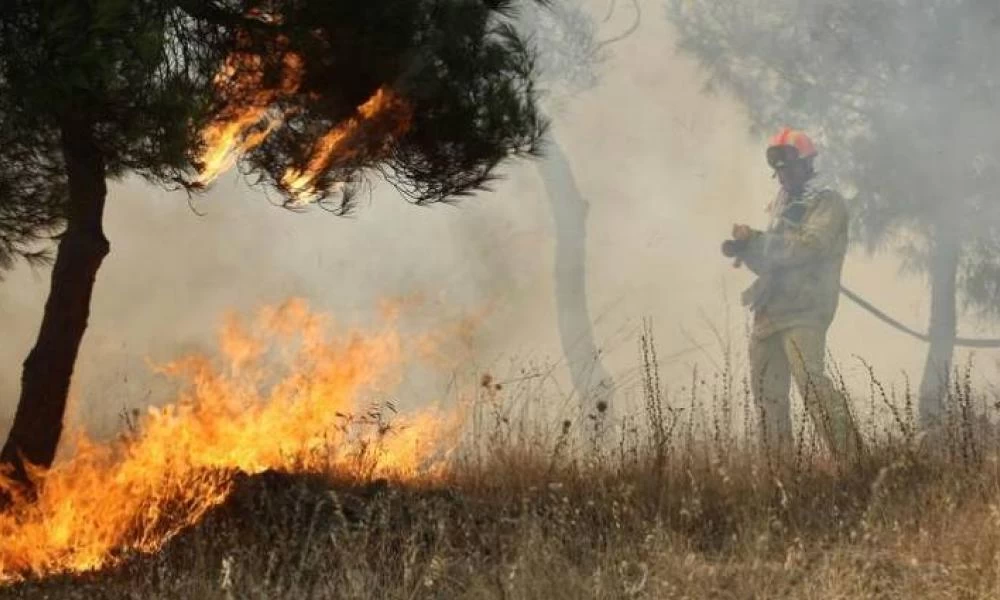 Σε εξέλιξη φωτιά σε δασική έκταση στο Γραμματικό Ηλείας